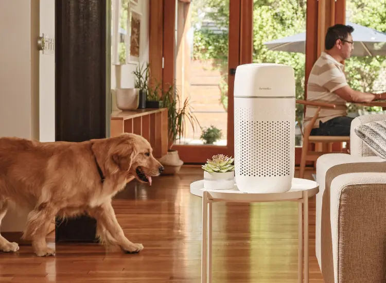Máy lọc không khí AP-T22 HoMedics