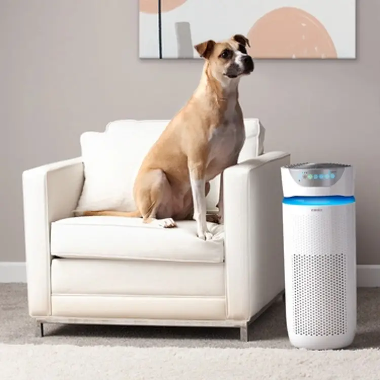 Máy lọc không khí AP-T40-GB HoMedics Máy lọc không khí AP-T40-GB HoMedics
