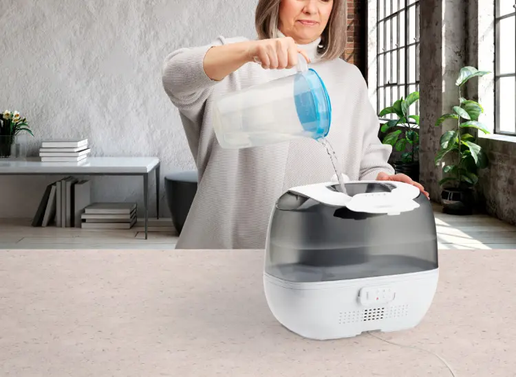 Máy tạo ẩm 1520272 HoMedics